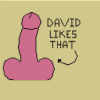 David likes dicks.png