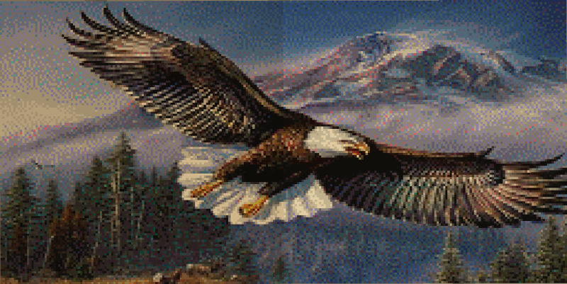 File:Flying Eagle.png