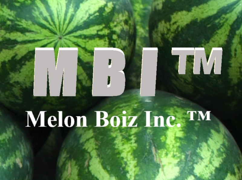 File:Mbi logo.png
