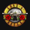 Guns N' Roses.png