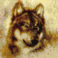 Wolf - A 1x1 map art of an old image of a wolf. He likes the behavior of wolves.
