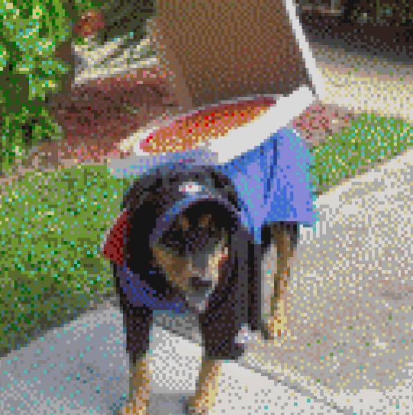 File:Dog delivering pizza.png